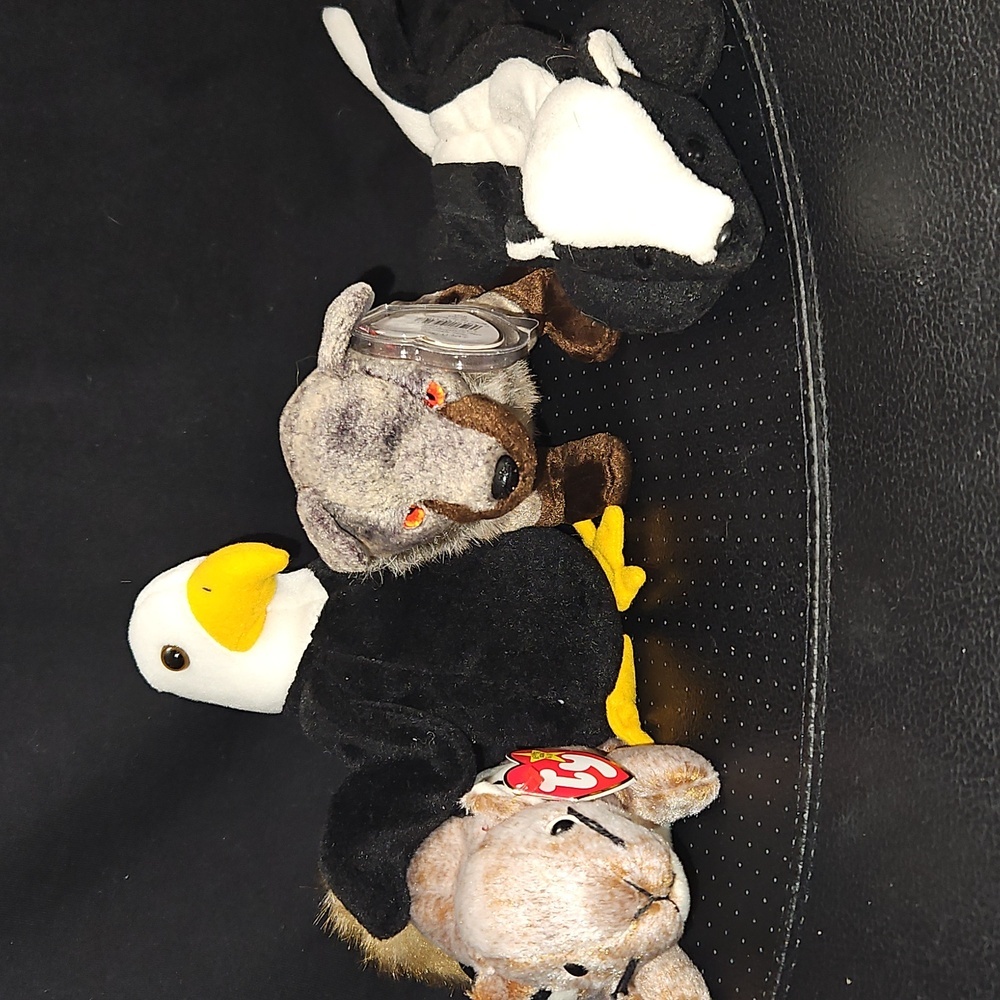TY Beanies Collection of 4